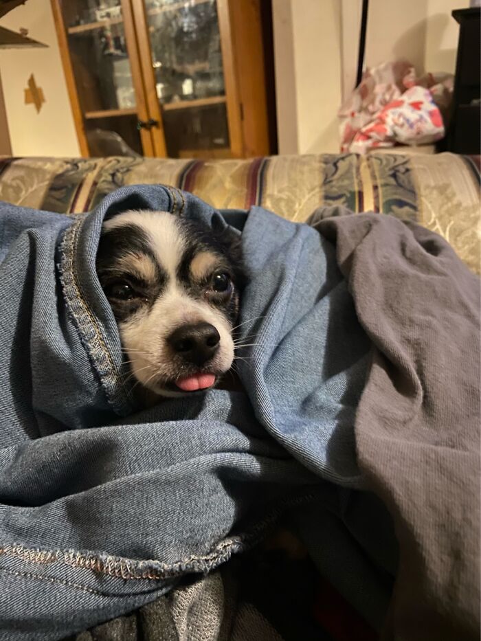 Clothes Hot From The Dryer=beni At 100% Deep