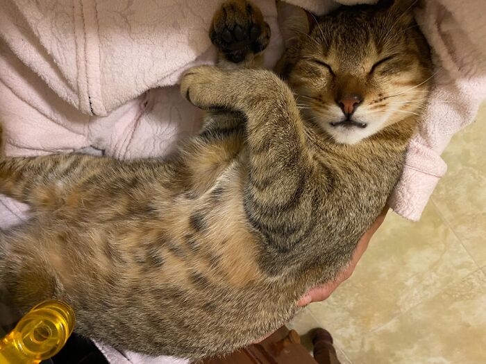 Not Easy To Hold Her While Writing