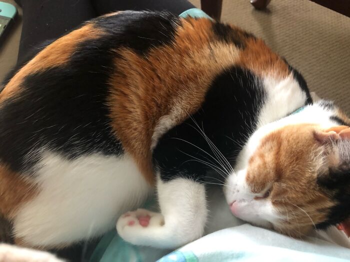 This Is Alice ❤️