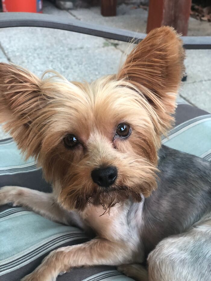 Kc, My Beautiful Baby. Rest In Peace, Angel.