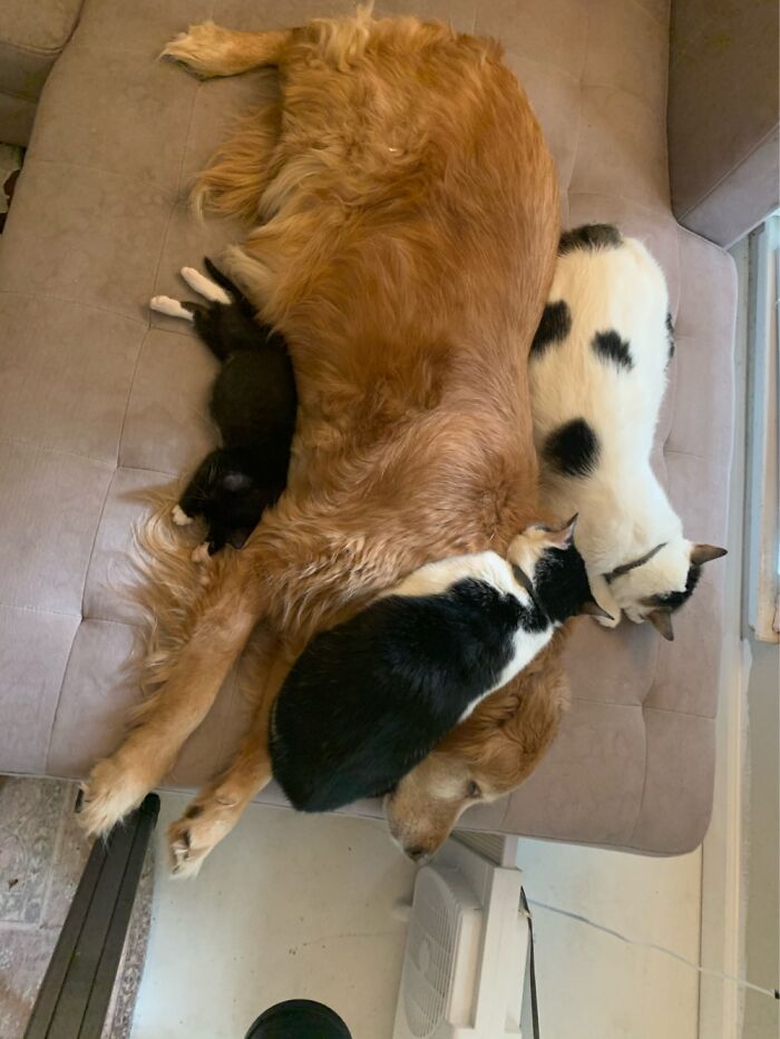 There’s So Much Love!