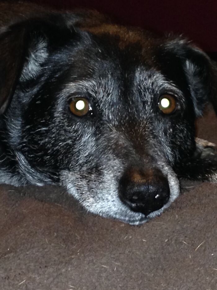 Chase. A Huge Part Of My Heart Died The Day She Did.