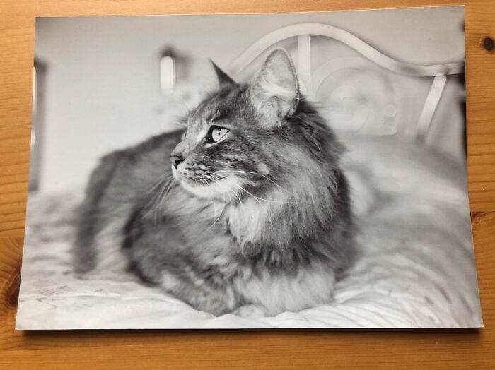 She Will Forever Be Missed.