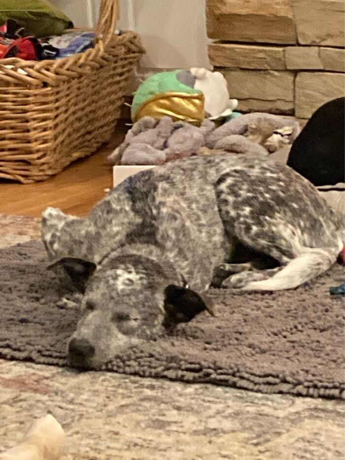 Just Causally Breaking Her Legs