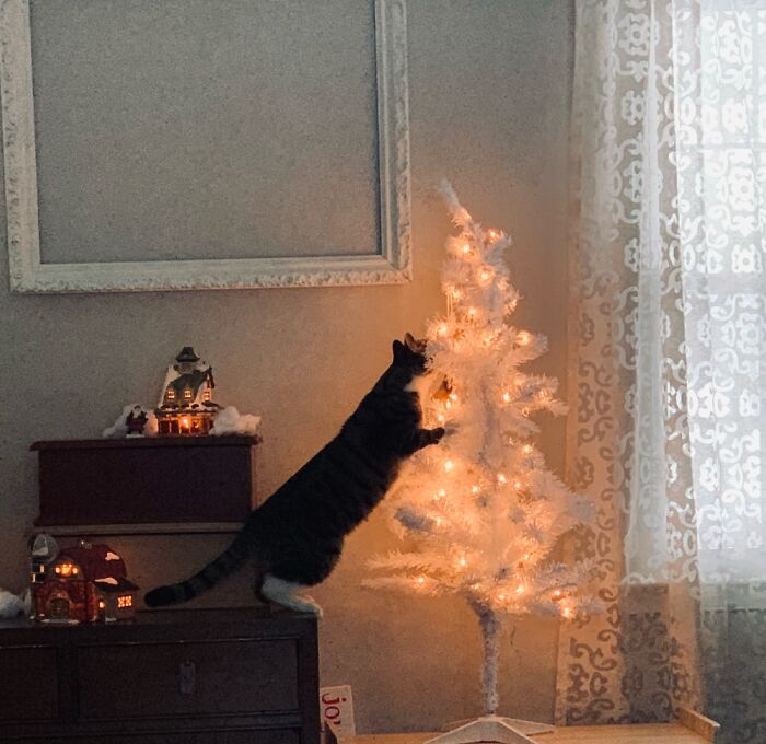 Zedd Is Always Getting Into Something.