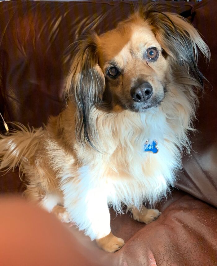 Our Beautiful Boy, Flynn. We Found Him In The Desert, Hurt And Dehydrated. Now He’s Our Prince