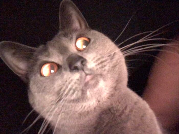 Are You Kidding Me???