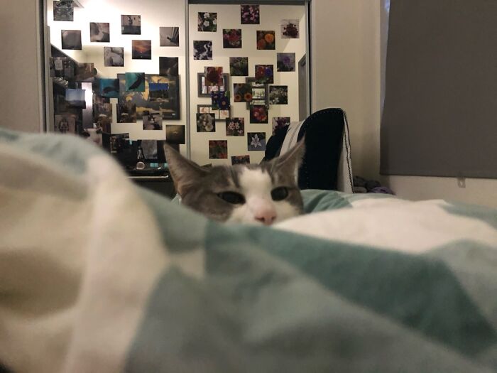 Bo And Her Little Sneak Peek