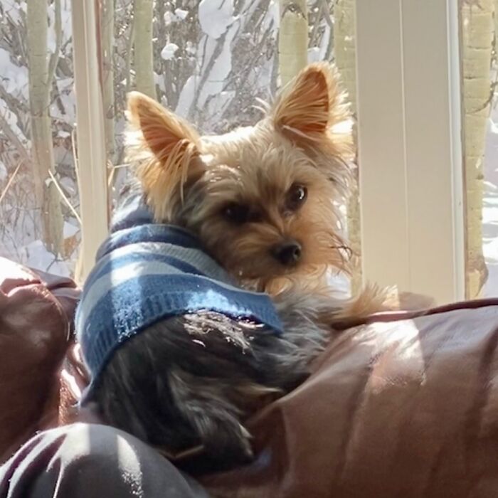 Getting Some Sun While Enjoying The View In Colorado.