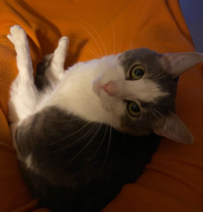 Nanny Likes To Sit Like The People Do