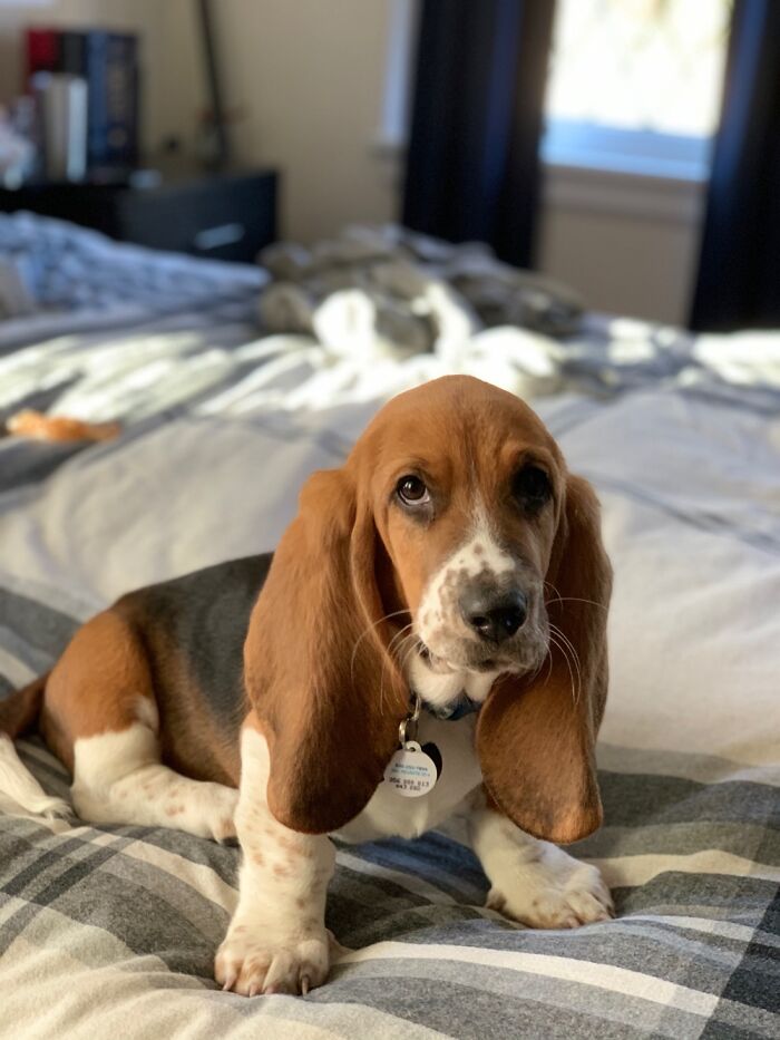 So Pretty His Name Is Winston