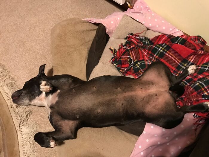 My Girl Erin Letting It All Hang Out While On 2 Beds!!