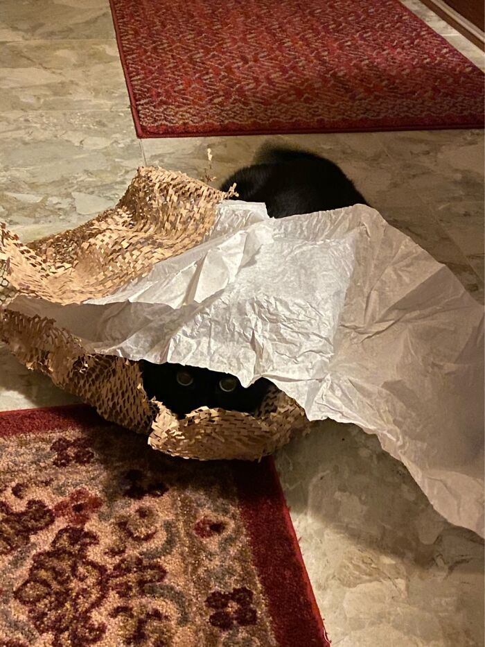 You Don’t See Me! You Don’t See Me!