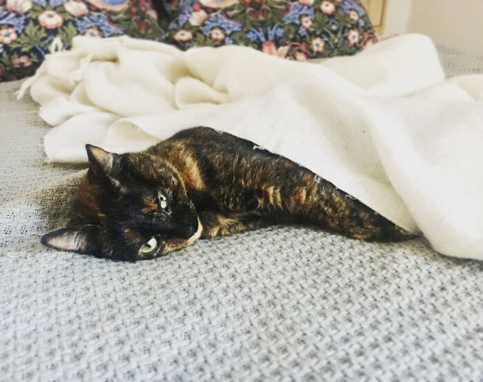 This Is Kassandra In Her Usual Winter Mood :)