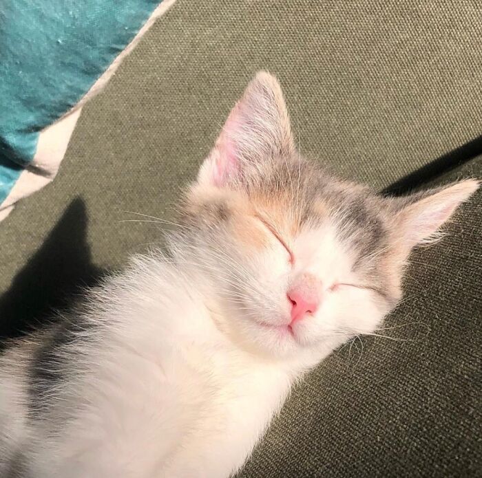 Little Miss Sunshine....