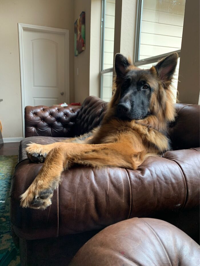 I Was Talking Too Much During His Show 😂