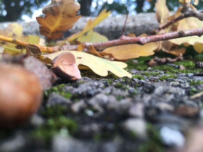 A Picture I Took Ages Ago