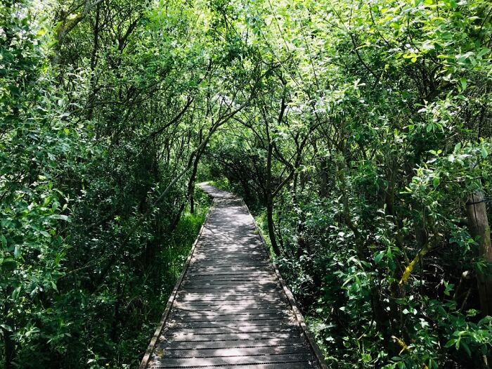 Path Towards The Unknown