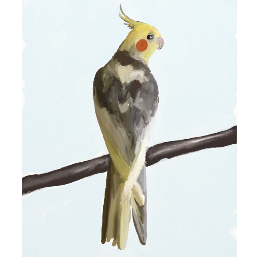 My Lovely Zebedee. Passed Away A Few Years Ago But He Was Lovely.