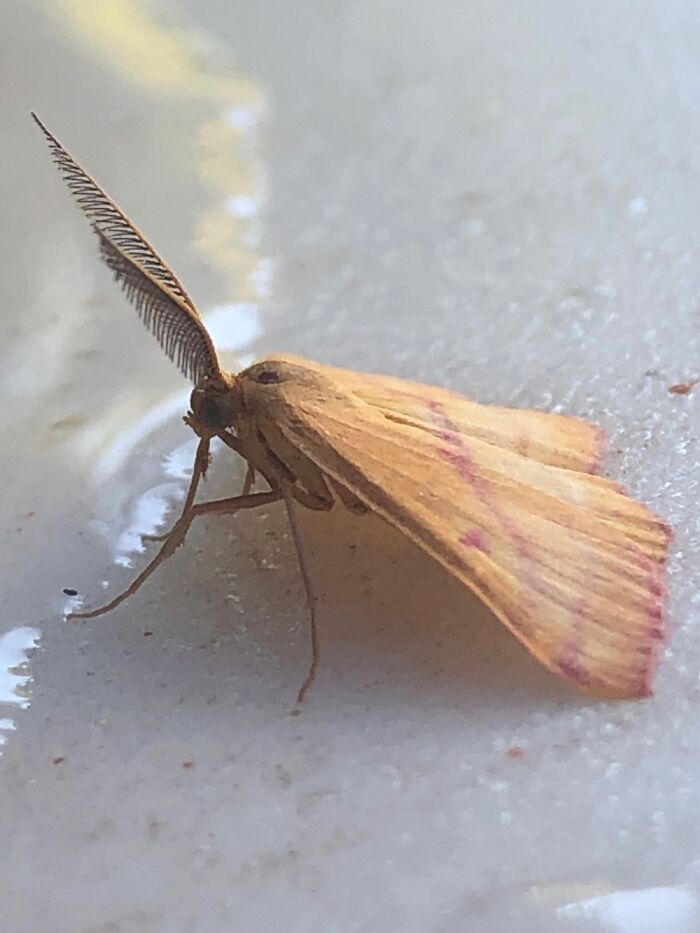 Cool Drink, Hot Day.