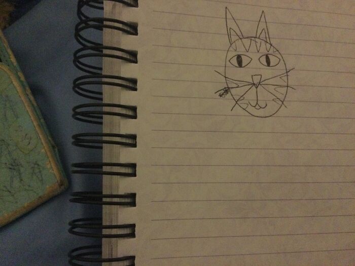 I Didn’t Feel Like Drawing The Rest Of It