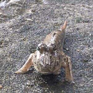 clairefortney avatar