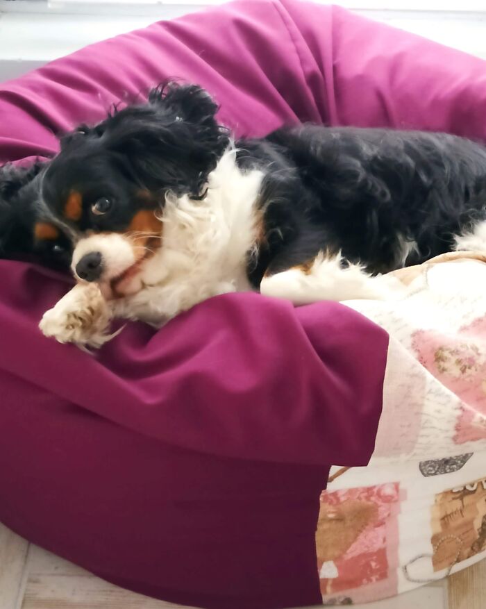 I Always Wake Up Smiling... I Think It's Your Fault.