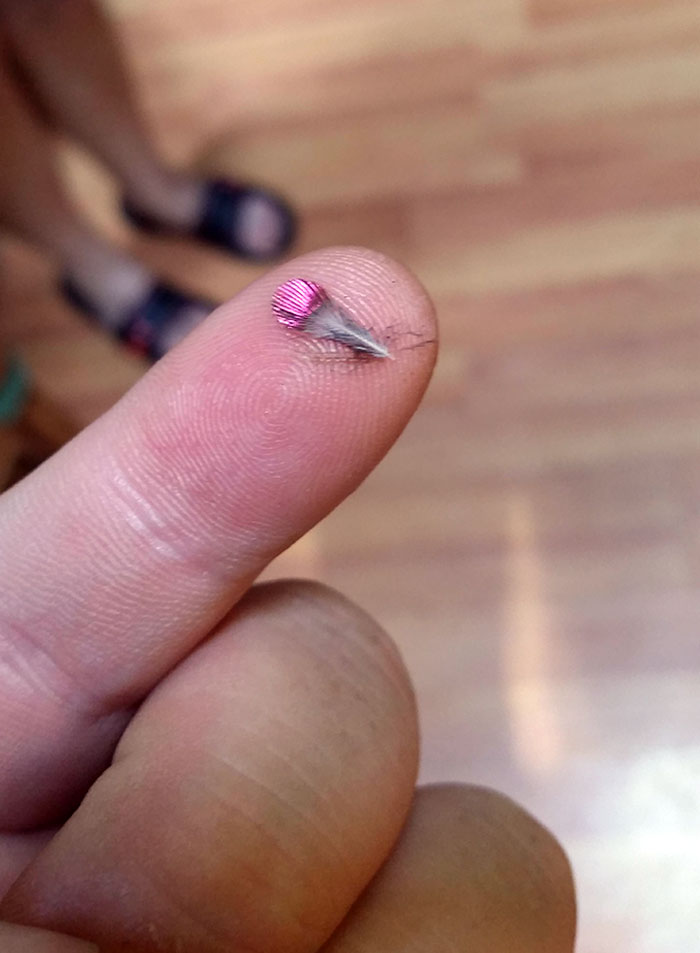 Hummingbird Feather. I Had Never Found One Before, Thought It Was Neat