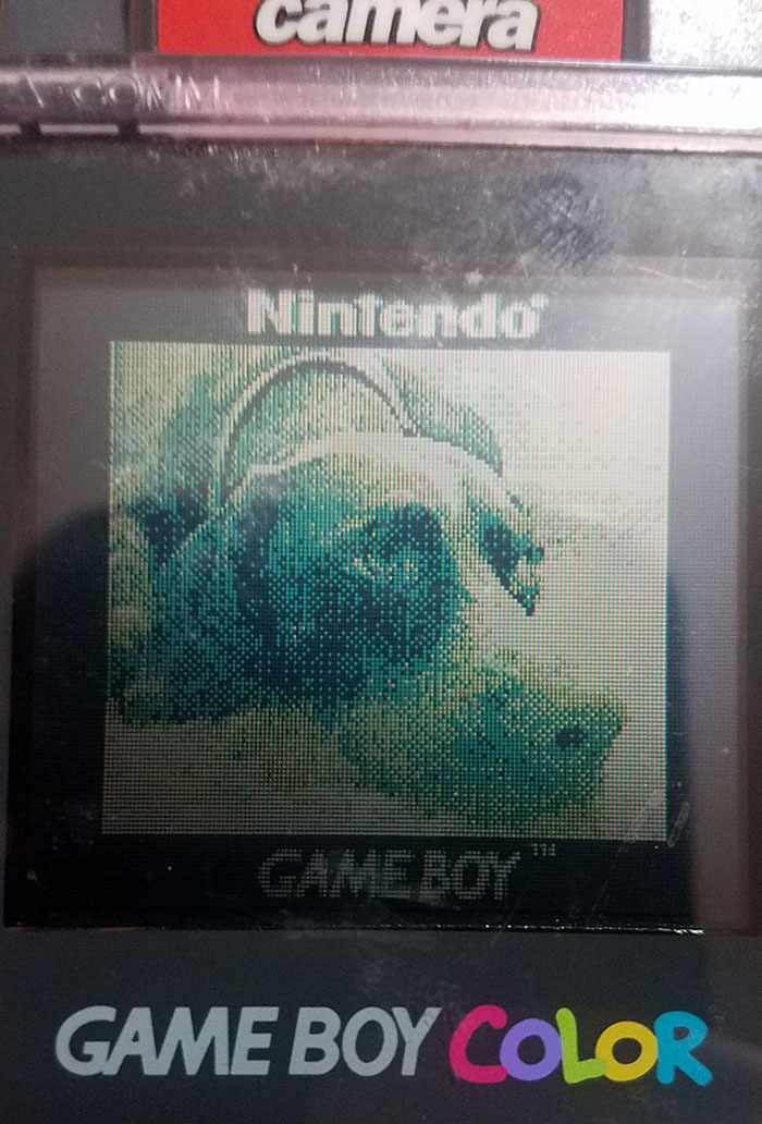 While Showing My 3-Year-Old My Game Boy, I Discovered A Picture Of My Best Friend From 1999