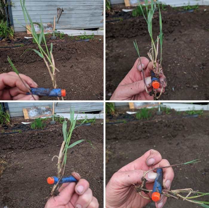 Was Doing Some Digging And Found An Old Nerf Dart Supporting Life