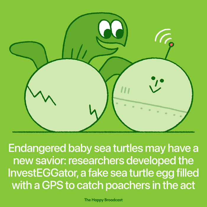 Positive-News-2020-Illustrations-Mauro-Gatti