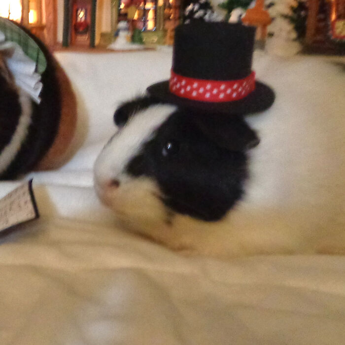 She Did Not Want To Wear The Hat.