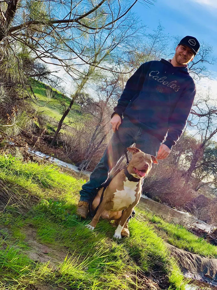 Man Sees A 350lb Bear Killing His Dog, Grabs It By The Throat And Punches It In The Face