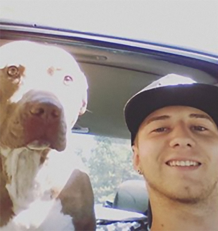 Man Sees A 350lb Bear Killing His Dog, Grabs It By The Throat And Punches It In The Face