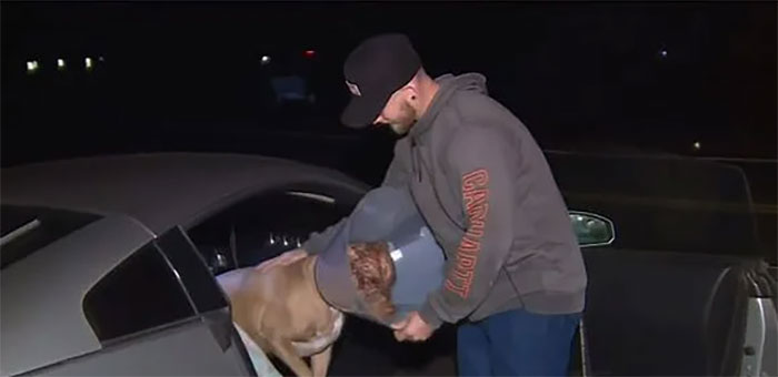 Man Sees A 350lb Bear Killing His Dog, Grabs It By The Throat And Punches It In The Face