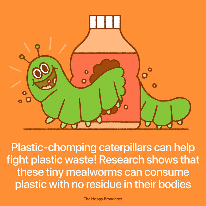 Positive-News-2020-Illustrations-Mauro-Gatti