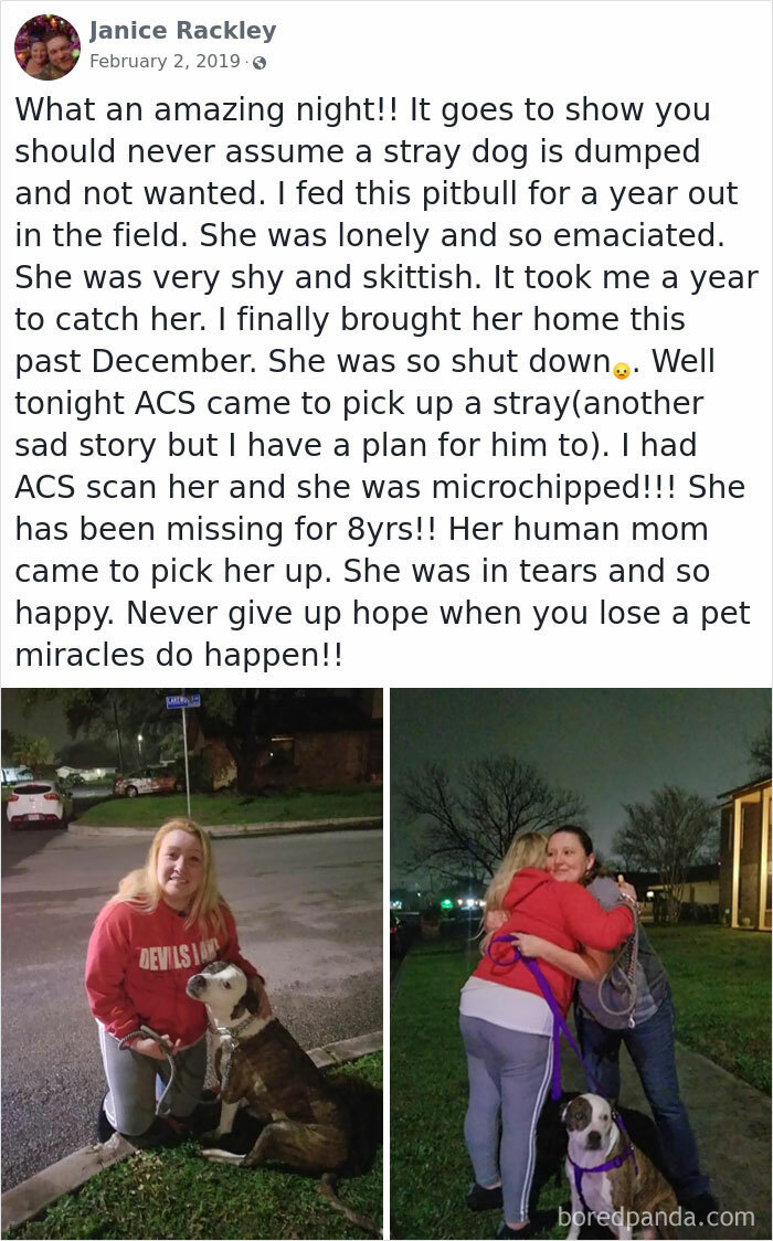 Long Lost Dog Reunited With Her Owner After 8 Years