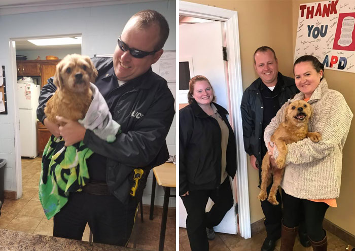 Dog Who Ran Away After Car Crash Reunites With Owner After 2 Days