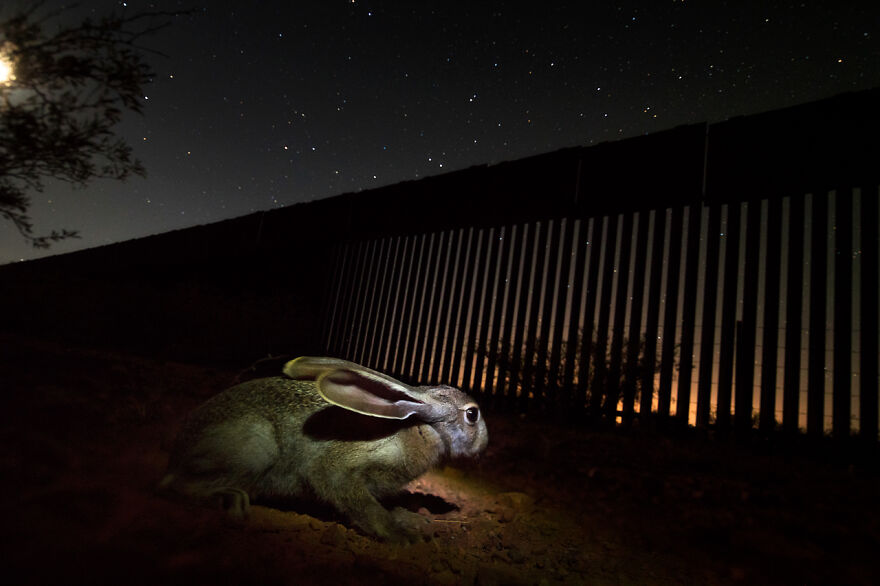 Category Fred Hazelhoff Portfolio Award: Winner, 'Border Wall Project' By Alejandro Prieto