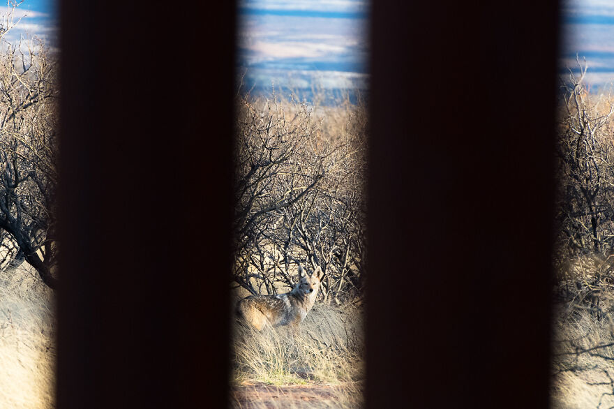 Ategory Fred Hazelhoff Portfolio Award: Winner, 'Border Wall Project' By Alejandro Prieto