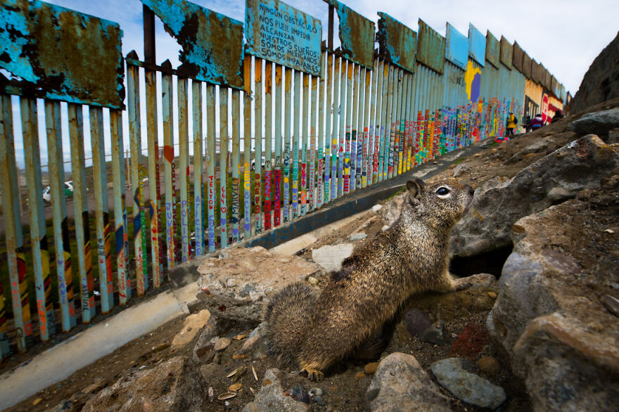 Category Fred Hazelhoff Portfolio Award: Winner, 'Border Wall Project' By Alejandro Prieto
