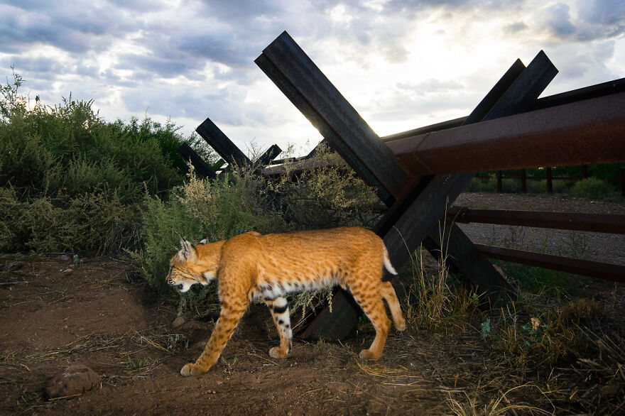 Category Fred Hazelhoff Portfolio Award: Winner, 'Border Wall Project' By Alejandro Prieto
