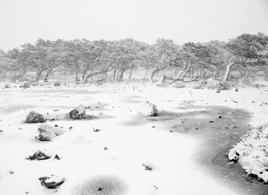 Category Landscapes: Highly Commended, 'Wild Is The Wind' By Alessandro Carboni