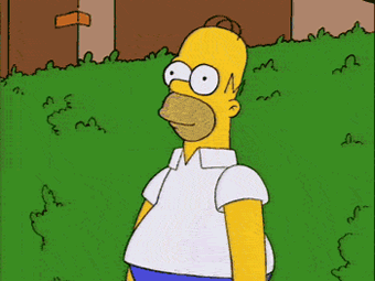 no_words_homer_into_brush-5fd89173d96de.gif