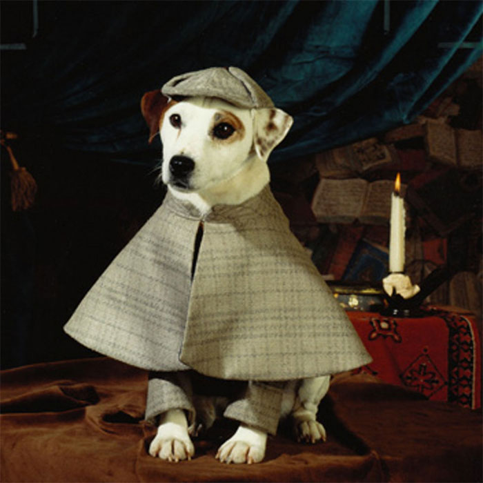 Anyone Remember Seeing Wishbone?