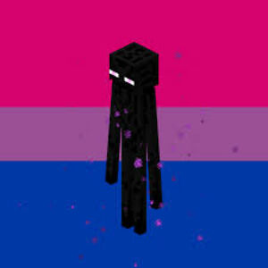 The Bi Enderman