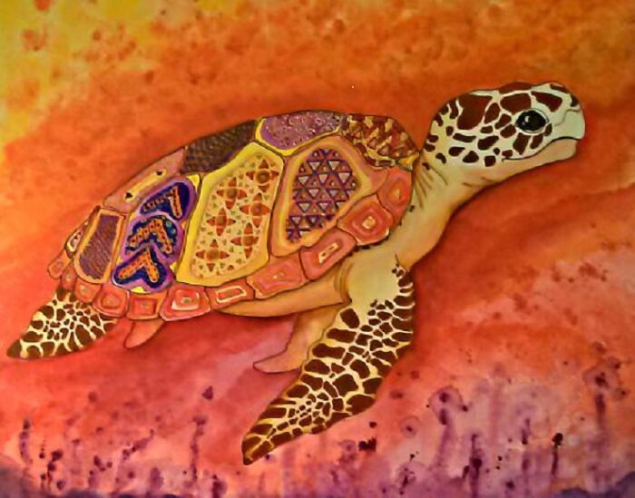 Global Warming Ocean Gmo Wildlife