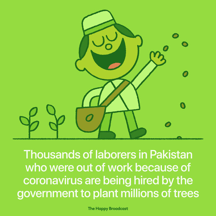 Positive-News-2020-Illustrations-Mauro-Gatti