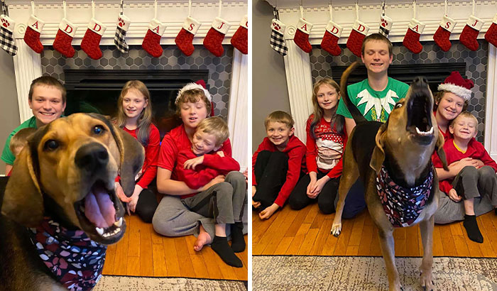 Dog Shamelessly Photobombs Every Single Family Christmas Pic, Ends Up Creating The Perfect Christmas Card
