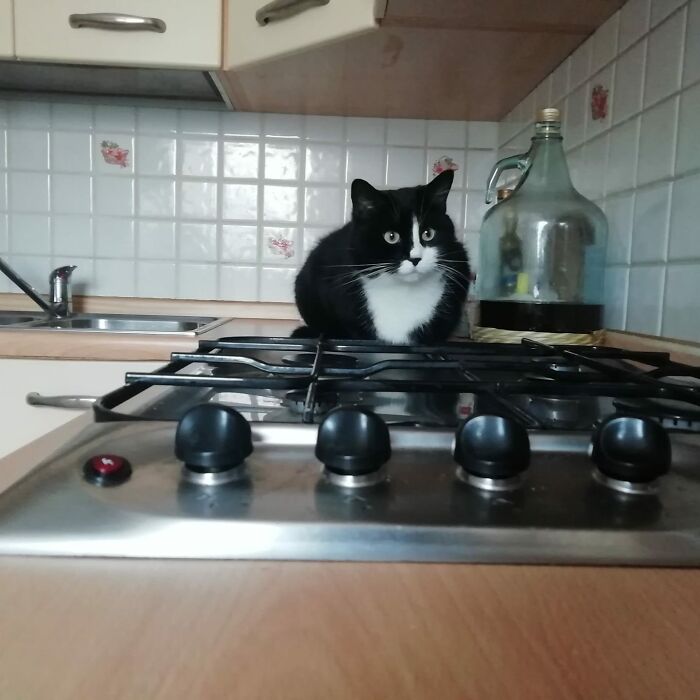 Omg This Is Ridiculous!